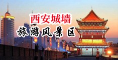 逼逼好想被插哦哦视频中国陕西-西安城墙旅游风景区